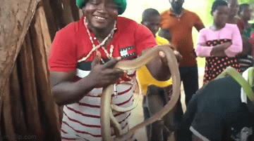 Video: Kỳ lạ bộ tộc khiêu vũ với rắn ở Tanzania