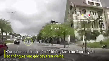 Camera giao thông: Cố tránh ô tô sang đường, xe máy lao thẳng vào gốc cây