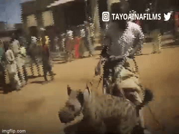 Video: Kỳ lạ nghề huấn luyện linh cẩu ở Nigeria