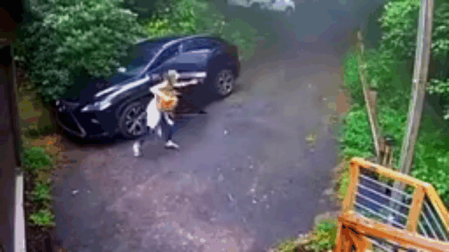 Video: Gấu đen đột nhập vào ô tô, nữ tài xế hoảng hốt tháo chạy