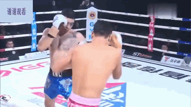 Video: Môn đồ Thiếu Lâm hạ gục cao thủ MMA chỉ bằng một cú đấm