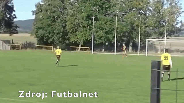 Video: Phá bóng ở cự ly 75 mét, thủ môn vô tình ghi siêu phẩm