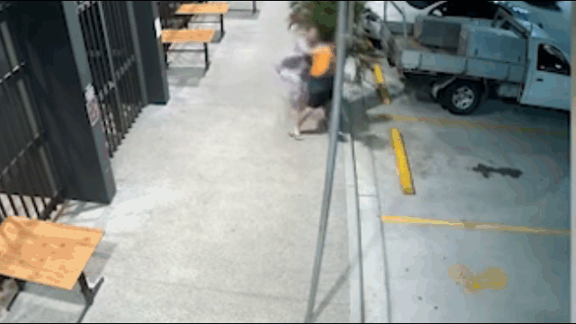 Video: Cướp túi xách, tên cướp bị nạn nhân tung đòn hạ gục