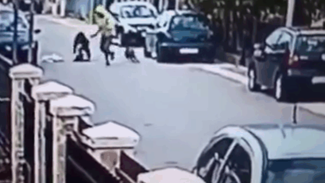 Video: Đi cướp túi xách, nam thanh niên bỏ chạy thục mạng vì bị chó đuổi
