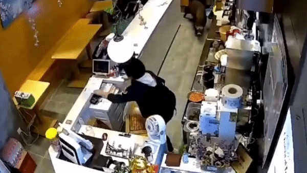 Video: Lợn rừng bất ngờ phi vào cửa hàng trà sữa, nữ nhân viên hoảng hốt nhảy qua quầy tháo chạy