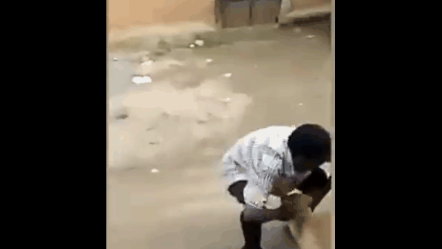 Video: Đang ngược đãi chó, người đàn ông bị bò lao tới tấn công