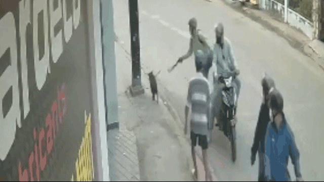 Video: "Cẩu tặc" táo tợn dọa chích điện chủ nhà để cướp chó giữa ban ngày