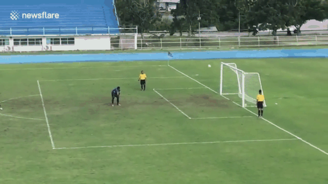Video: Chạy ra giữa sân ăn mừng quá sớm, thủ môn khiến đội nhà nhận kết cục đắng lòng