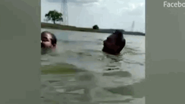 Video: Đang bơi dưới đập, nam thanh niên bất ngờ bị cá sấu ngoạm chân kéo đi