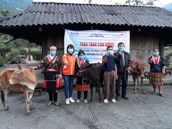 Hơn 4 tỷ đồng được World Vision Vietnam và KOICA giúp người dân Điện Biên, Quảng Ngãi phục hồi sau đại dịch COVID-19 Hơn 4 tỷ đồng được World Vision Vietnam và KOICA giúp người dân Điện Biên, Quảng Ngãi phục hồi sau đại dịch COVID-19