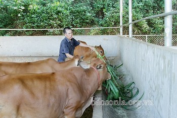 Chăm lo, tạo việc làm cho lao động hồi hương