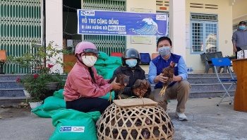 Plan International cấp phát con giống cho 45 hộ dân tại tỉnh Kon Tum