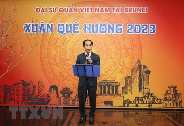 Việt Nam và Brunei thúc đẩy mối quan hệ Đối tác toàn diện ảnh 1