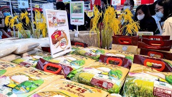 Giá gạo xuất khẩu của Việt Nam cao nhất từ đầu năm 2022