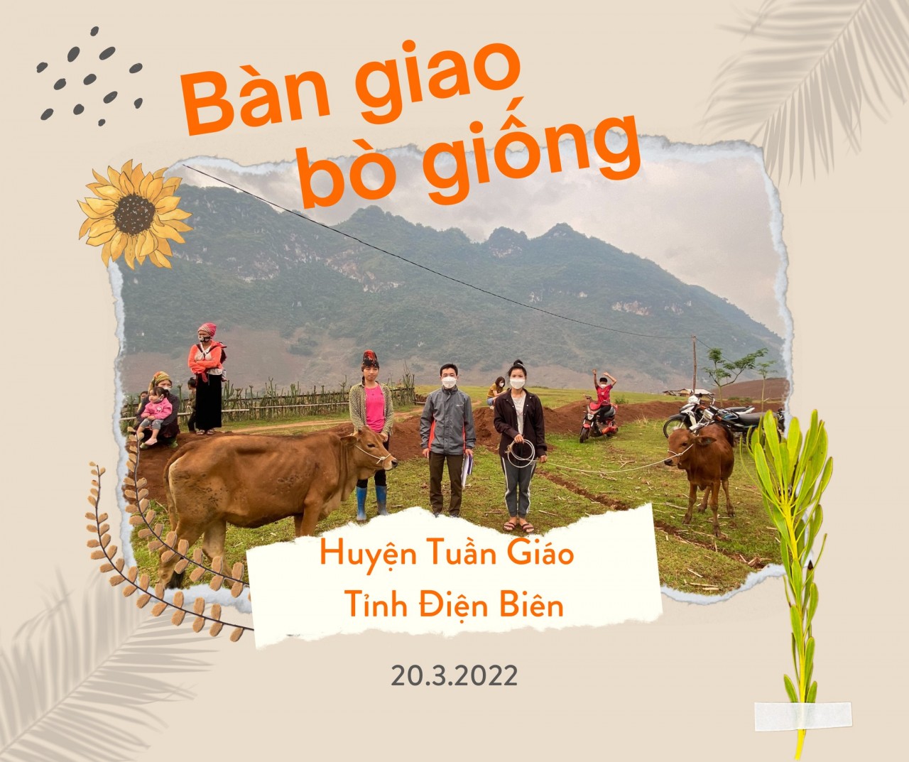 World Vision Việt Nam cấp phát gia cầm cho 100 hộ gia đình khó khăn tại Điện Biên