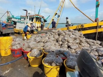 tinh ba ria vung tau quyet tam cao trong viec chong khai thac iuu