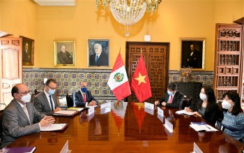 Thúc đẩy hợp tác kinh tế, thương mại và đầu tư giữa Việt Nam và Peru