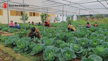 Tổ chức Cứu trợ Trẻ em: mang cơm có thịt, rau sạch đến với trẻ em vùng cao Tổ chức Cứu trợ Trẻ em: mang cơm có thịt, rau sạch đến với trẻ em vùng cao