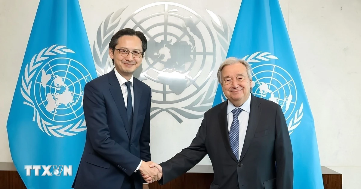 Việt Nam sẵn sàng vai trò Chủ tịch Hội nghị Kiểm điểm NPT lần thứ 11