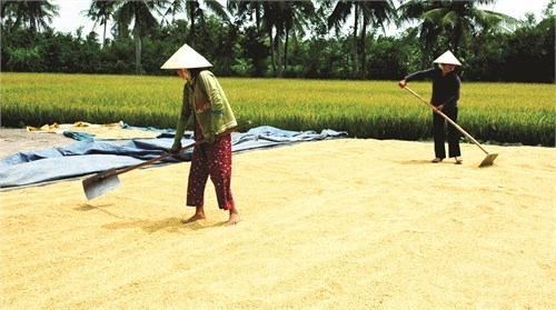 Việt Nam được cộng đồng quốc tế đánh giá là điểm sáng về giảm nghèo