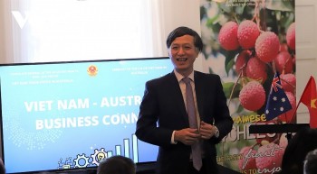 Doanh nghiệp Australia tìm kiếm cơ hội đầu tư tại Việt Nam Doanh nghiệp Australia tìm kiếm cơ hội đầu tư tại Việt Nam