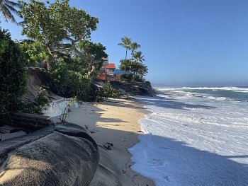 the gioi da mat di 400000 ha dien tich bai trieu trong 20 nam qua