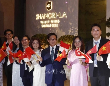 dong luc moi cho hop tac khoa hoc cong nghe viet nam singapore