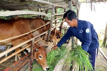 UNDP hoan nghênh Việt Nam đã kịp thời công bố số liệu thống kê về nghèo đa chiều trong đại dịch COVID-19