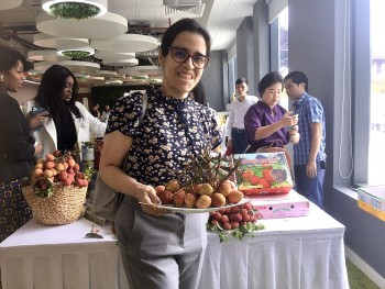Vải thiều Việt Nam gây ấn tượng mạnh với bạn bè quốc tế Vải thiều Việt Nam gây ấn tượng mạnh với bạn bè quốc tế