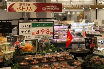 Tăng cường kết nối kinh doanh, thúc đẩy xuất khẩu sang Nhật Bản