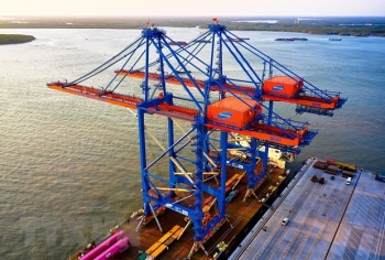 viet nam la ngoi sao dang len de tro thanh thi truong moi noi