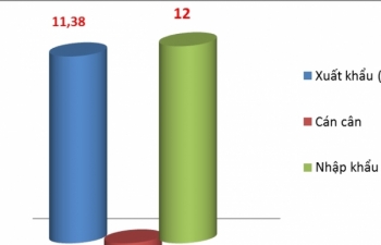 Xuất nhập khẩu Việt Nam- Nhật Bản đạt hơn 20 tỷ USD trong 6 tháng đầu năm