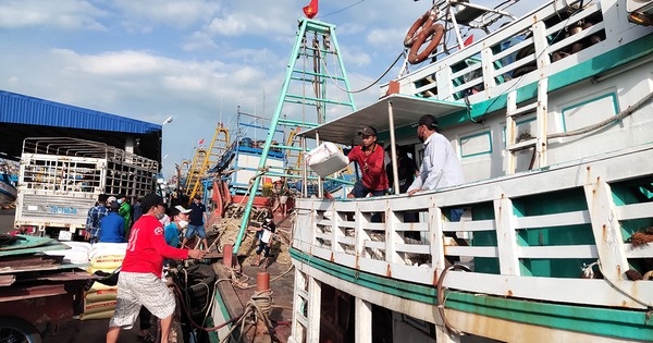 Giá xăng dầu "hạ nhiệt": Ngư dân tất bật vươn khơi