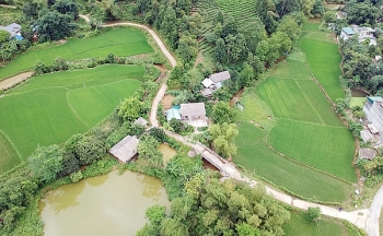 nhung tuyen duong hanh phuc boi koica