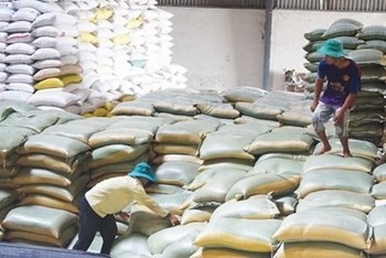 Chính phủ cấp gạo, nhà bạt, máy phát điện hỗ trợ người dân Gia Lai, Bình Phước, Sóc Trăng Chính phủ cấp gạo, nhà bạt, máy phát điện hỗ trợ người dân Gia Lai, Bình Phước, Sóc Trăng
