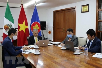 ra mat trang thong tin doanh nghiep mexico viet nam