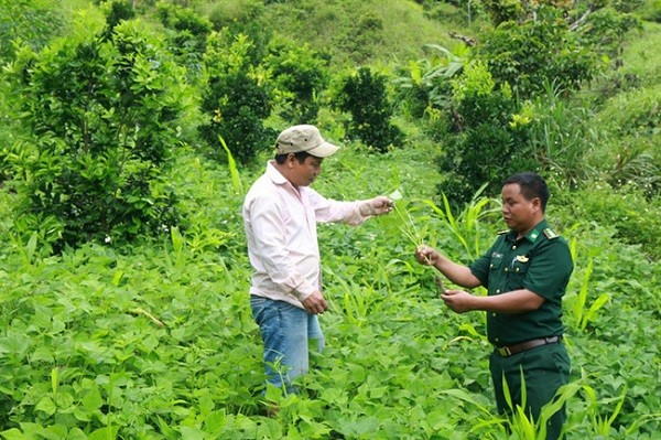 Bám sát các mục tiêu, thực hiện hiệu quả nhiệm vụ giảm nghèo bền vững giai đoạn 2021-2025