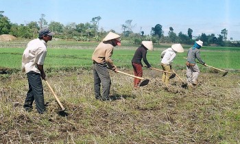 Miễn giảm thuế sử dụng đất cho hộ nghèo, đồng bào dân tộc thiểu số