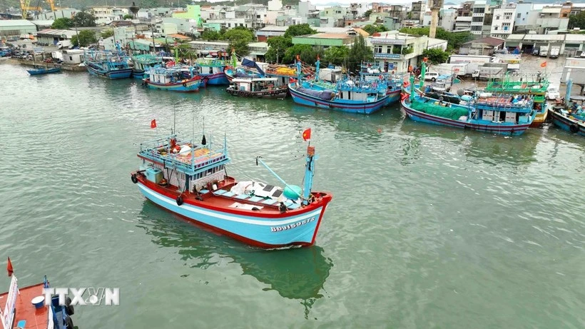 Việt Nam “Tuyên chiến với tình trạng khai thác IUU”: Vì uy tín của quốc gia