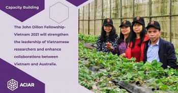 ACIAR trao 19 học bổng trong lĩnh vực nông nghiệp cho các nhà nghiên cứu Việt Nam ACIAR trao 19 học bổng trong lĩnh vực nông nghiệp cho các nhà nghiên cứu Việt Nam