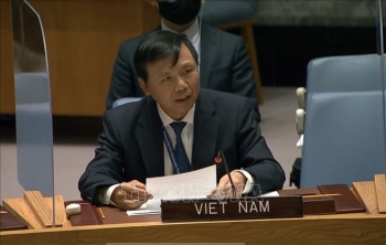 Việt Nam kêu gọi giải quyết nguyên nhân gốc rễ gây bất bình đẳng