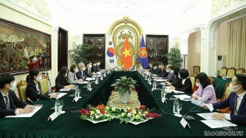 Việt Nam nỗ lực hoàn thành tốt điều phối quan hệ ASEAN-Hàn Quốc giai đoạn 2021-2024 Việt Nam nỗ lực hoàn thành tốt điều phối quan hệ ASEAN-Hàn Quốc giai đoạn 2021-2024