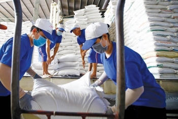 Doanh nghiệp xuất khẩu lúa gạo lưu ý những thay đổi của thị trường Trung Quốc