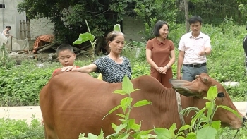 thai nguyen thuc hien hieu qua cac chuong trinh giam ngheo