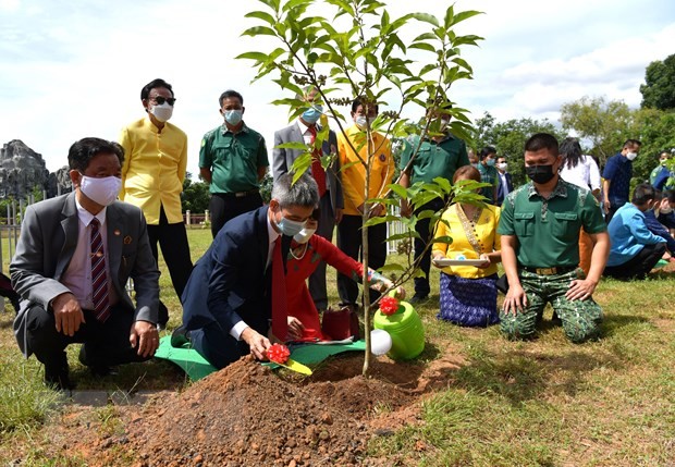 Sử dụng đường 8 và đường 12 để phát triển kinh tế Việt Nam - Thái Lan hậu COVID-19