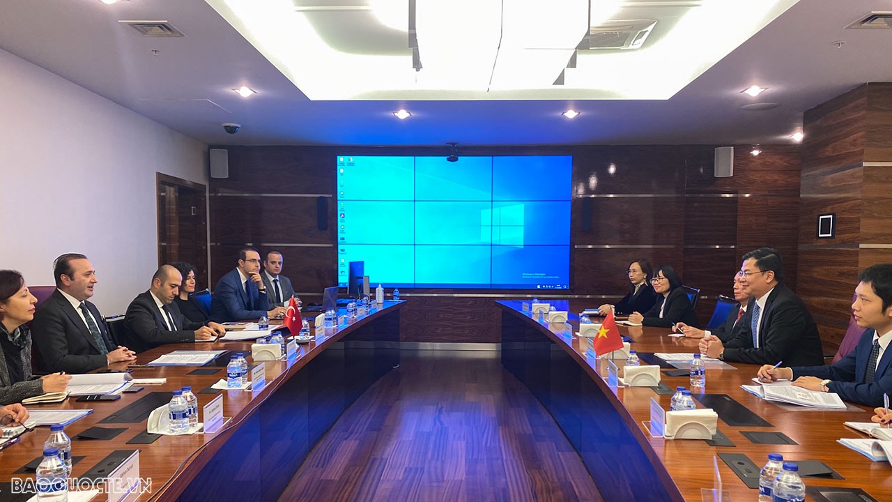 Thứ trưởng Ngoại giao Phạm Quang Hiệu làm việc với Thứ trưởng Bộ Thương mại Thổ Nhĩ Kỳ Mustafa Tuzcu.