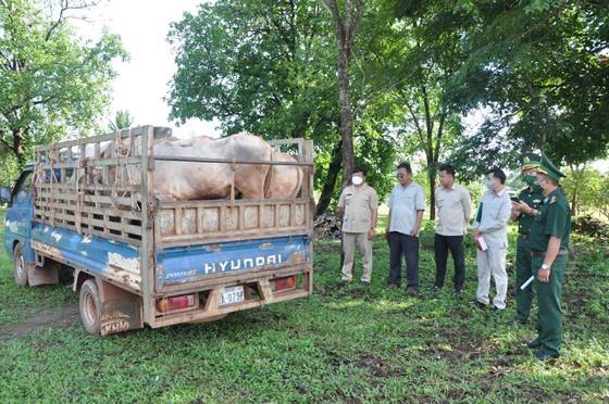 Bộ Quốc phòng Việt Nam và Campuchia trao tặng bò giống và học bổng cho người nghèo