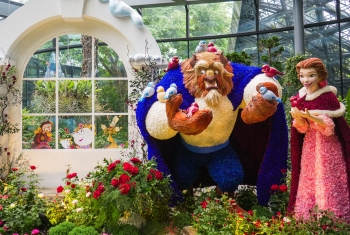 khu vuon ky dieu disney khoe sac tai gardens by the bay singapore