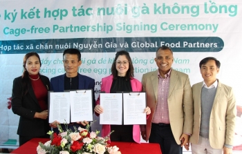 global food partners ho tro nong dan tham gia chuong trinh tin chi ga de khong nhot long