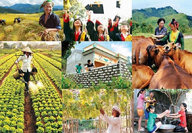 Nhắn tin ủng hộ tạo sinh kế cho phụ nữ vùng biên giới tỉnh Gia Lai